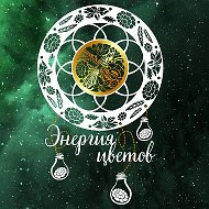 Энергия цветов. Цветы Липецк. Доставка.