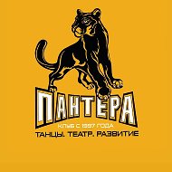 ПАНТЕРА | Липецк